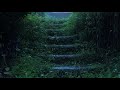 Dream with Rain & Thunder Sounds for Sleeping | Help Study, PTSD, Insomnia & Tinnitus