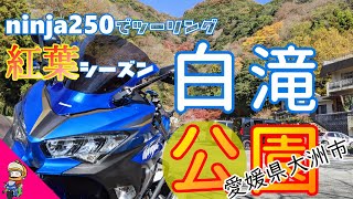 【ニンジャ250】紅葉シーズン！白滝公園ヒーリングの旅