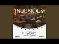 Frequent See (Live at Sugarshack Sessions)