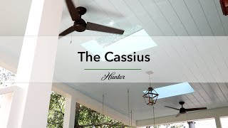 The Cassius Outdoor Ceiling Fan from Hunter