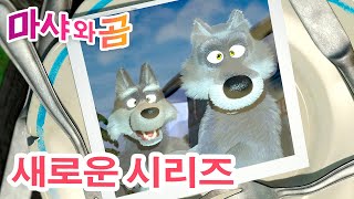 마샤와 곰 💥 새로운 시리즈 🐻👱‍♀️ 사진 찍기 📷😀 만화영화 모음집 👱‍♀️ Masha and the Bear