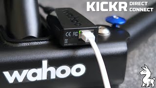 Wahoo KICKR Direct Connect // KICKR Network Connection Module!