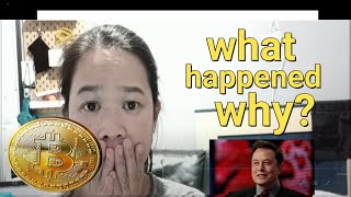 what happen to crypto | bitcoin | crashing
