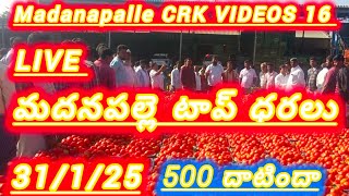 31/1/25 Madanapalle Tomato market price today 🍅 మదనపల్లె టమోటారేట్లు #crkvideos16 #todaytomatorate