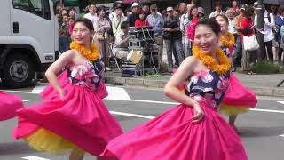 京都学生祭典2019　京都府立大学フラダンス部 Pumehana