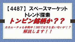 トンピン銘柄か？？【4487】 スペースマーケット