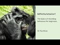 Basics of animal behaviour recording