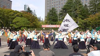 よさこい総踊り 🎵ザ・フェスティバル ～ねぶた！YOSAKOI！大乱舞！！ 📍みちのくYOSAKOIまつり (勾当台公園) 2023-10-08T14:06