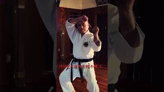 沖繩空手道聖武館少林流 • Okinawa Karate-Do Shorin-ryu Seibukan • Shimabukuro Zempo Sensei - Sesan Kata