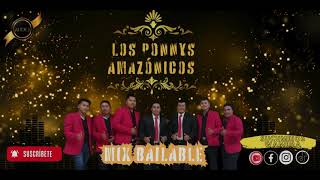 LOS PONNYS AMAZONICOS 🇪🇨 [CUMBIA MIX 2024] #musicakichwa #cumbia #amazon #ecuador