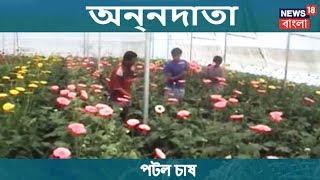 অন্নদাতা | লাভজনক পটল চাষ