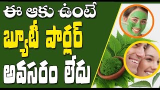 Neem leaves benefits for fair skin, pimples and teeth - వేపా ఆకు దాని ఉపయోగాలు