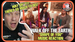 MUST SEE! (Reaction) Walk Off The Earth - "SHAPE OF YOU (ED SHEERAN COVER) | NU METAL FAN REACTS |