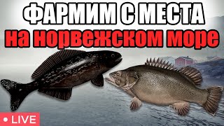 РР4 СТРИМ • ИЩЕМ РЕДКУЮ РЫБУ НА НОРВЕЖСКОМ МОРЕ • РОЗЫГРЫШИ • РУССКАЯ РЫБАЛКА 4