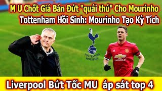 M U Chốt Giá Bán Đứt "quái thú" Cho Mourinho | Tottenham Hồi Sinh: Mourinho Tạo Kỳ Tích