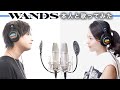 【本人と歌ってみた】世界中の誰よりきっと / CHIAKI & WANDS上原大史