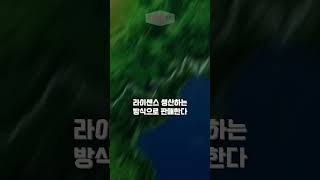 일본보다 2배 비싼 콜라 가격의 비밀ㄷㄷ