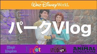 【WDW旅行記】ディズニーワールド: パークVlog 9/13/19 ノットソーキャラグリ編