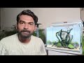 minimalist planted tank easy guide for aquascaping in tamil amudh aquascapes