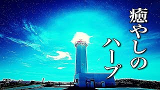 癒しのハープ【睡眠・作業用BGM】ファンタジー系ゲームのサントラで流れていそうな音楽