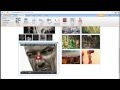 How to Use Weebly's Multimedia Elements (by www.WebsiteBuilderExpert.com)