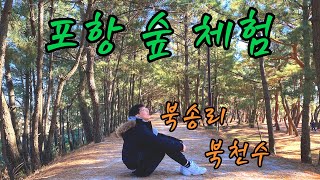 포항 사람만 안다는 그 곳! 흥해읍 북천수 숲 체험 프로그램(ft.숲과사람)