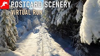 Virtual Run In Winter Woods | Postcard Scenery From Norway | 4k