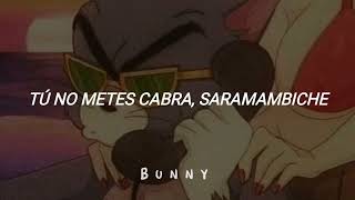 Tu no Metes Cabra Remix - Bad Bunny - Daddy Yankee - Anuel AA - Cosculluela (Letra//Lyrics)