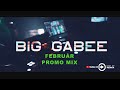 A Legújabb Party Mix 2023. (FEBRUARY) Mixed By BIG GABEE