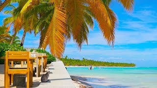 Caribbean Cafe Ambience ☕ Smooth Bossa Nova with Coffee Shop Ambience & Ocean Waves for Relaxation