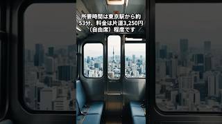 成田空港へのアクセスには「成田エクスプレス」と「スカイライナー」＃雑学＃電車＃地理