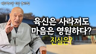 무상과 불생불멸의 혼동, 무엇이 진실일까  | '여천무비 스님 전집 화중연화'(25권) 출간 기념 무비스님 인터뷰 5