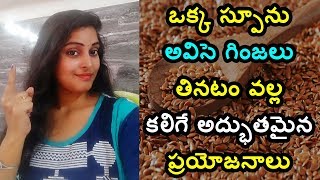 Health benifits of Flax Seeds in telugu||Avise ginjanlu uses in telugu||For hair,skin,Beauty n more