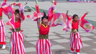 美na☆舞ty　02　in　横浜よさこい祭り 良い世さ来い　2016