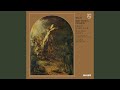 J.S. Bach: St. Matthew Passion, BWV 244 / Part One - No. 25 