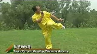 Shaolin Kung Fu Combat Styles: 6. big defensive-intent form (长护心意门: chang hu xinyi men)