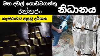 (ගොං කුරයක්)මහා දවල් ගොඩටගත්තු රත්තරං නිධානය/nidan wasthu/nidan godaganima /nidan wadula/ashiya-prod