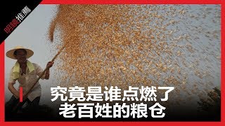 究竟是誰點燃了老百姓的糧倉（《明鏡推薦》2018年8月11日）