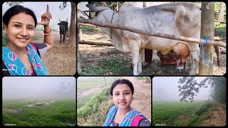 ||part 3 vlog||ভোর 5 টার ⏰গ্রামের মনোরম সকাল।।গরু বাছুর।। ছোটবেলায় কত মজা করেছি😍 @shinorita-hs1zj