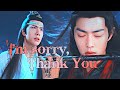 Wei Wuxian x Lan Wangji - I'm Sorry, Thank You