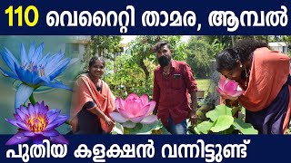 110 Varieties LOTUS WATER LILLY farming in Kerala|All india delivery| താമര ആമ്പല്‍കൃഷി |lotusfarming