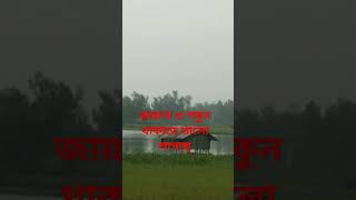 কালিদহ সাগর। বর্তমান সাগর দিকের বিল। #vairalvideo #bangladesh #new #বাংলা #video #shakilff100