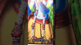 Vrindavan Brij ke Darshan || Krishna जन्म Bhoomi || Harekrishna #short  #radheyradhey #vrindavan