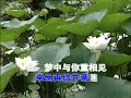 【广东潮剧】唱段100首 《梦中与你重相见》郑舜英