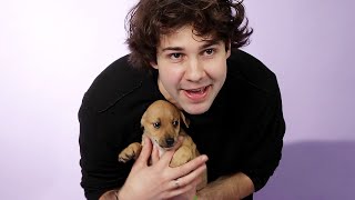 David Dobrik Plays With Puppies While Answering Fan Questions