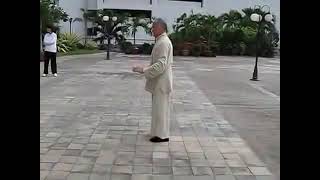 Kai Ying Tung performing first part of Yang style Tai Chi Tai Chi in Bangkok