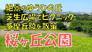 【桜ヶ丘公園】多摩市の絶景スポット ゆうひの丘でピクニック