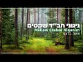 an hour of mellow chabad nigunim piano shneor lerer