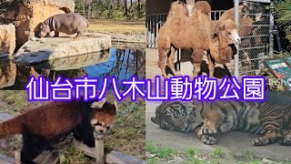 #八木山動物園 #仙台市