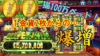 【Golden Hoyeah Slots】猫ちゃんありがとう！！